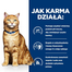 HILL'S Prescription Diet Feline C/D Multicare Urinary care Hrana umeda pisici cu probleme urianare, cu somon 12x85g