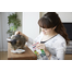 INABA CIAO Chicken fillet grilled Recompensa pentru pisici, file creveti 25 g