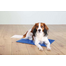 TRIXIE Covor cu efect racoritor pentru caini, 100 x 60 cm