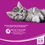 WHISKAS Junior cu Pui 300 g