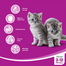WHISKAS Junior cu Pui 300 g
