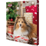 TRIXIE Calendar Advent cu recompense pentru caini