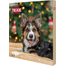 TRIXIE Calendar Advent cu recompense pentru caini