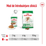 Royal Canin Mini Ageing 12+ Hrana umeda caini 85 g