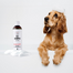 PETS Shampoo Camomile Sampon piele sensibila 250 ml