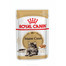 ROYAL CANIN Mainecoon hrană umedă în pliculețe 48x85 g