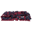 TRIXIE Joc activitate covor olfactiv pentru caini Sniffing Carpet