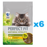 PERFECT FIT Natural Vitality 1+ 6x650 g pui si curcan hrana pentru pisici