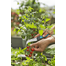 GARDENA Cutit pentru gradina, taiere legume si plante VeggieCut