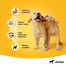 PEDIGREE Junior Hrana umeda catei, cu Pui in Aspic 400 g