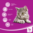 WHISKAS Adult Hrana uscata pisici, cu pui 7 kg