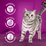WHISKAS Adult 1,9 kg hrana uscata completa pentru pisici adulte cu ton delicios
