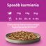 WHISKAS Pure Delight 12x85g Delicii din carne pasare cu pui, curcan, pasare, rata in jeleu