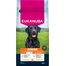 EUKANUBA Junior Large Breeds Chicken 15 kg hrană câini tineri rase mari, bogată în pui proaspăt