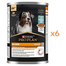 PURINA PRO PLAN Everyday Nutrition Adult 6x400 g hrană umedă pentru câini adulți, cu pește