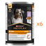PURINA PRO PLAN Everyday Nutrition Adult 6x400 g hrană umedă pentru câini adulți, cu curcan