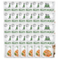 Care Fillets in Jelly tuńczyk saszetki dla kota 24 x 85 g