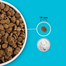 ACANA Highest protein Pacifica Dog 2 kg