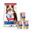 HILL'S Science Plan Canine Mature Adult Lamb & Rice 14 kg hrana cu miel si orez + 3 conserve GRATIS