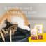 JOSERA Kitten 10 kg sucha karma dla kociąt i kotek ciężarnych lub karmiących