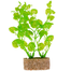 TRIXIE Plantă pe piatră mică 12 cm 6 buc.