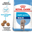 ROYAL CANIN Maxi Puppy Active hrana uscata pentru juniori de rase mari cu cerinte energetice mai mari 15 kg