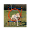 TRIXIE Obstacol cu inel 78 x 115cm