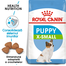 Royal Canin X-Small Puppy hrana uscata caine junior, 500 g