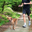 TRIXIE Lesă pentru jogging 0.90–1.30 M cu amortizor