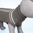 TRIXIE Pulover "Best of all breeds XS 30 cm