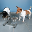 TRIXIE Stand ajustabil cu boluri 2X1.8 L
