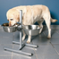 TRIXIE Stand ajustabil cu boluri 2X2.8 L