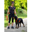 ZOLUX Ham pentru alergat / jogging Canisport XL portocaliu