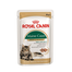 Royal Canin Maine Coon Adult hrana umeda pisica, 12 x 85 g