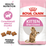 Royal Canin Kitten Sterilised hrana uscata pisica sterilizata junior, 2 kg