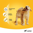 PEDIGREE Dentastix pentru pui Tubos 72 g