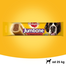 PEDIGREE Jumbone Large 210 g