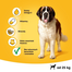 PEDIGREE Jumbone Large 210 g