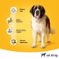 PEDIGREE Vital Protection Adult Large hrana uscata caini adulti de talie mare, cu vita 15 kg