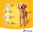 PEDIGREE Vital Protection Adult hrana uscata caini adulti de talie medie, cu pasare si legume 15 kg