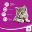 WHISKAS Creamy soup cu vită 85 g