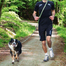 TRIXIE Lesă pentru jogging, 1.33–1.80 m/20 mm, gri / verde