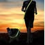 TRIXIE USB Flash Lesă pentru jogging S-XL: 1.85–2.55 m/25 mm