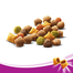 WHISKAS Sterile cu Pui 300g