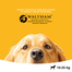 PEDIGREE DentaFlex talie medie