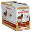 ROYAL CANIN Dachshund Adult 12x85 g
