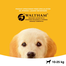 PEDIGREE Junior pentru câini de talie medie 2.2 kg + 400g GRATIS