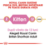 Royal Canin British Shorthair Kitten hrana uscata pisica junior, 10 kg