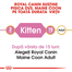 ROYAL CANIN Kitten Hrana pisoi rasa maine coon 4 kg