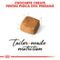 Royal Canin Persian Kitten hrana uscata pisica junior, 2 kg